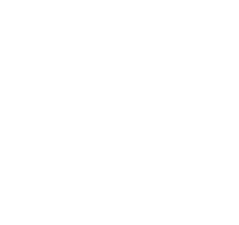 Swiss Innovators Club